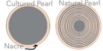 Cultured-vs-natural-pearl