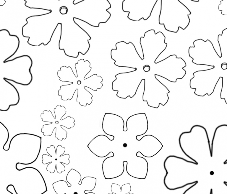 Flower Patterns – Nancy L T Hamilton